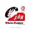WHITE RABBIT 大白兔